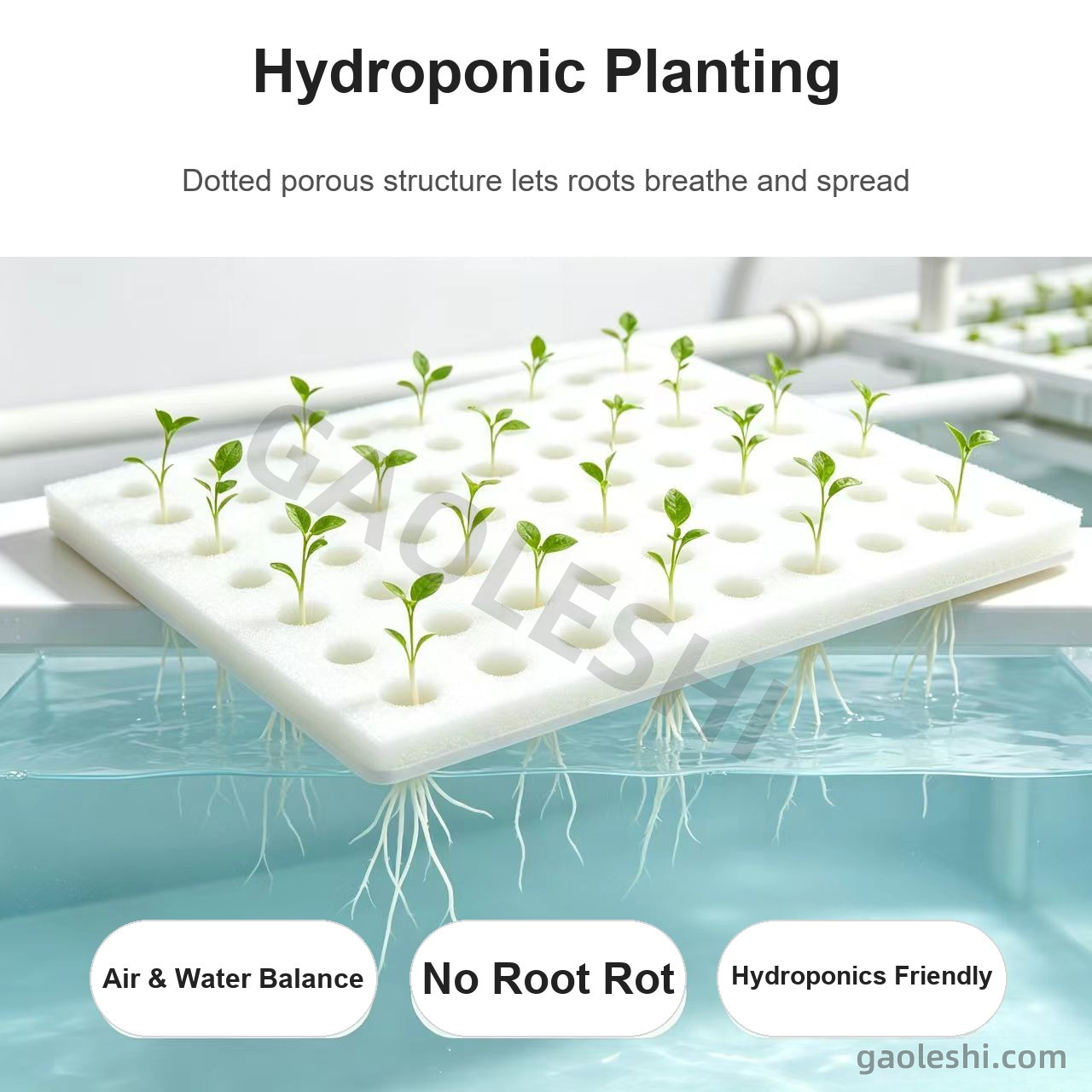 Hydroponic planting - roots breathe and spread Hydroponic planting - roots breathe and spread