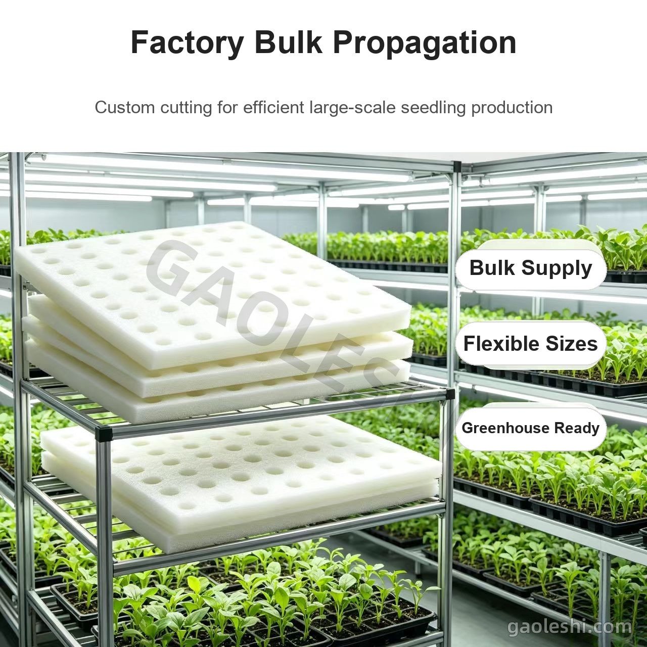 Factory bulk propagation with custom cutting Factory bulk propagation with custom cutting