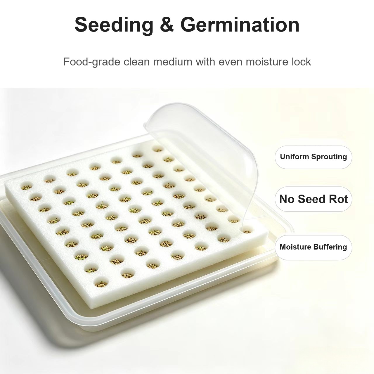 Seeding and germination - food-grade clean medium Seeding and germination - food-grade clean medium