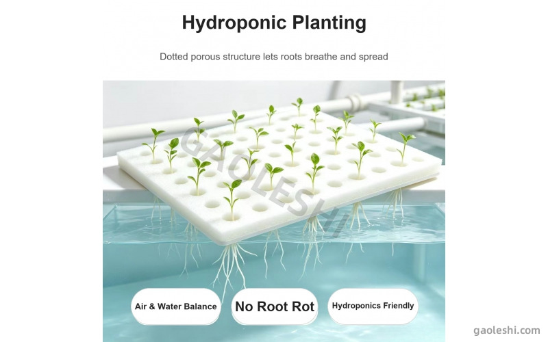 Food-Grade Soilless Seedling Sponge - Hydroponic Grow Foam Plug for Vegetable & Fruit Seedlings (Custom)